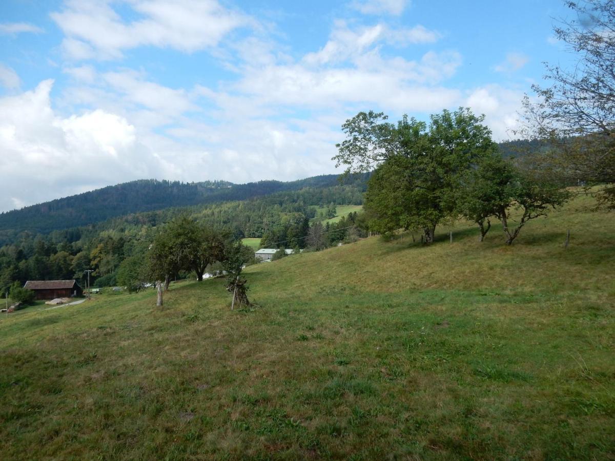 Charming Holiday Home Near The Ski Slopes Vagney Экстерьер фото